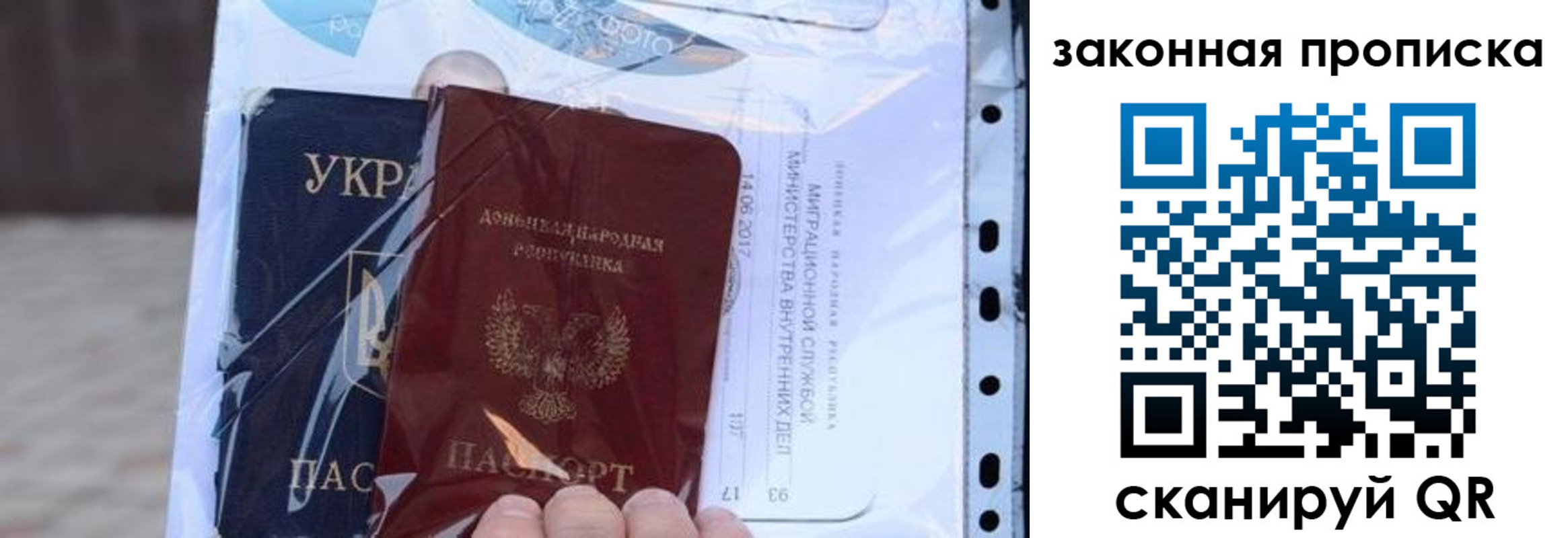 прописка для школы в Светлограде